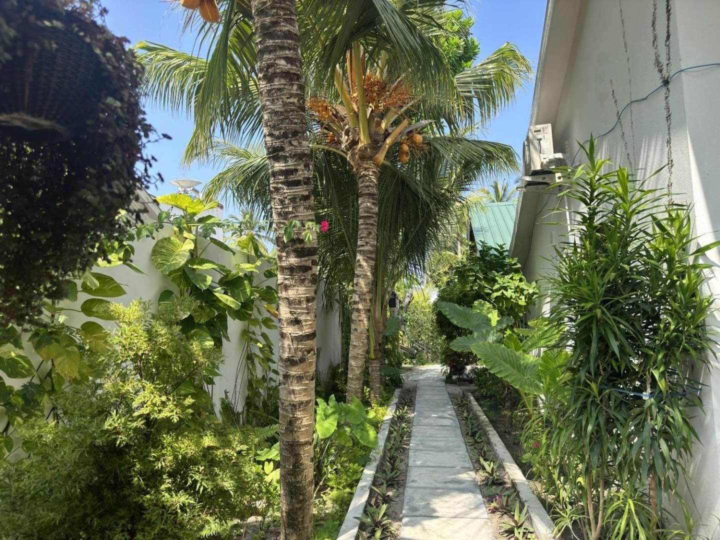 Hotel Aqua Oasis Thoddoo Exterior foto